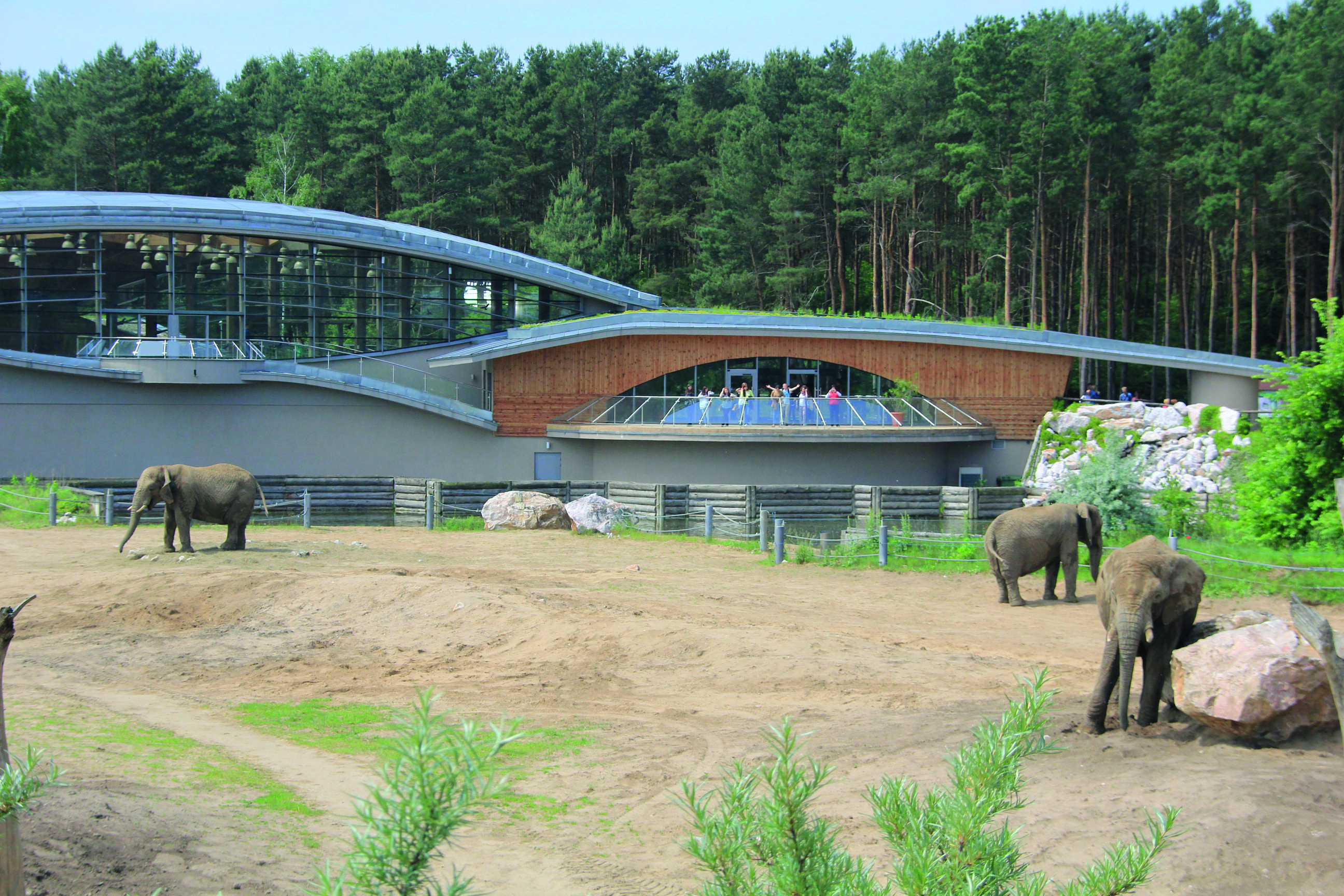 Nowe ZOO - Więcej